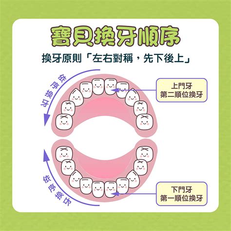 大牙會換牙嗎|兒童換牙的時間與順序